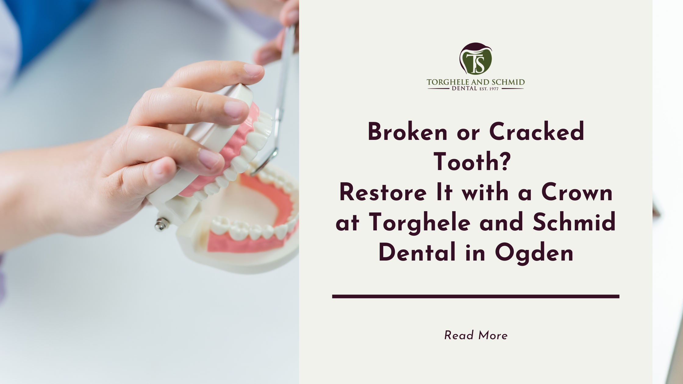  A dentist explaining crown placement using a teeth model with the business logo, blog title, and read more option.